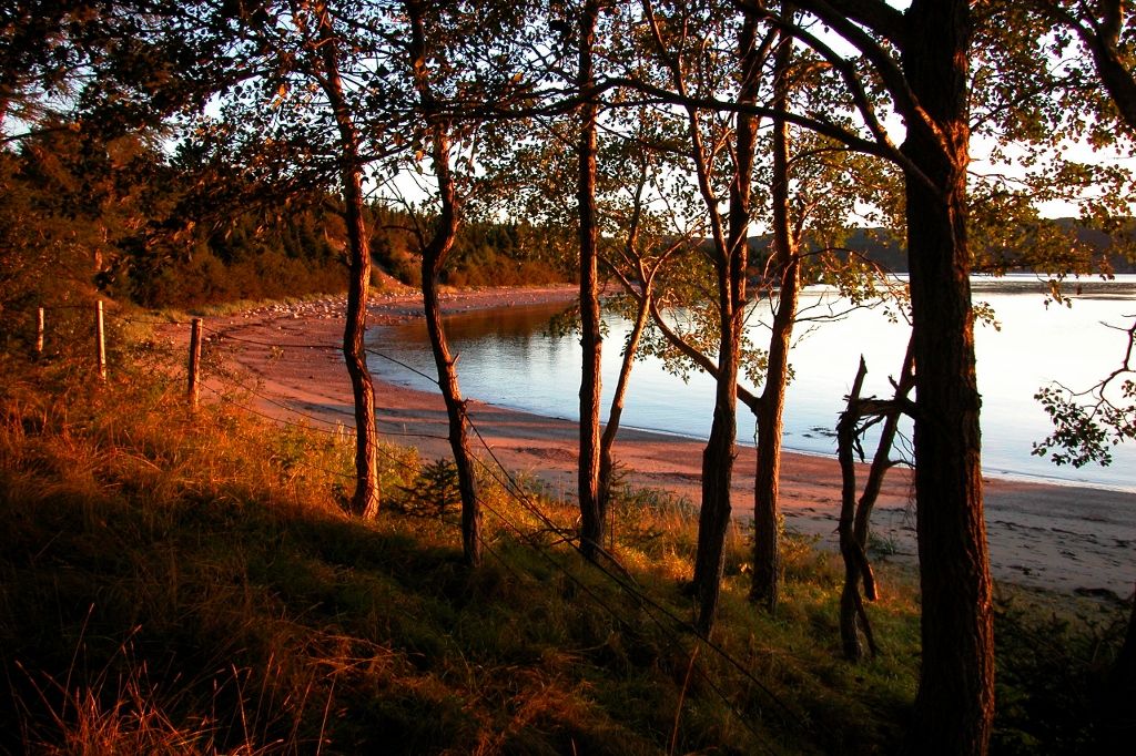 Gallery Woody Island Resort